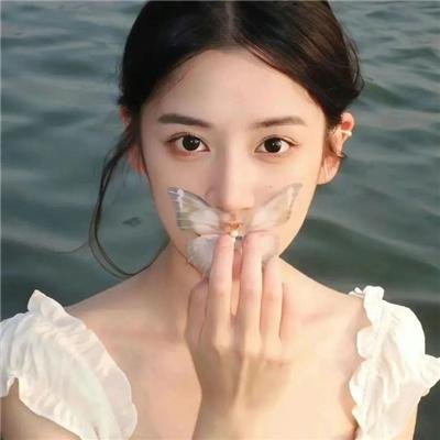 小小间谍:博客战争